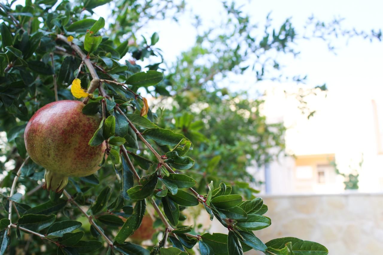 Апартаменты Villa la vie Улцинь