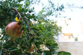 Апартаменты Villa la vie Улцинь Улучшенные апартаменты-11